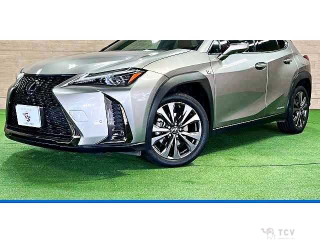 2019 Lexus Other