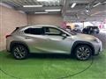 2019 Lexus Other
