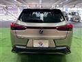 2019 Lexus Other