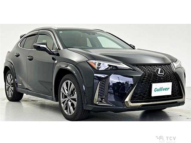 2019 Lexus Other