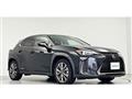 2019 Lexus Other