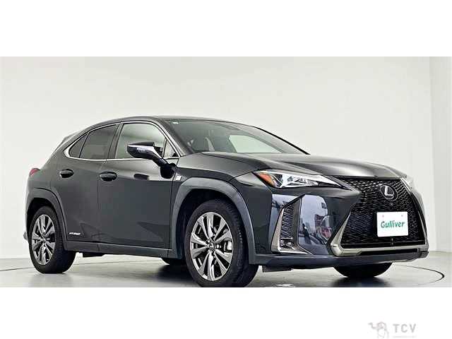 2019 Lexus Other
