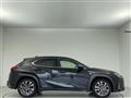 2019 Lexus Other