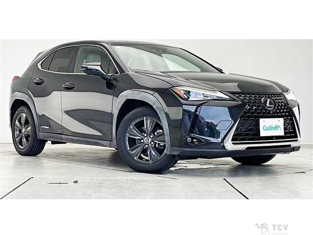 2019 Lexus Other