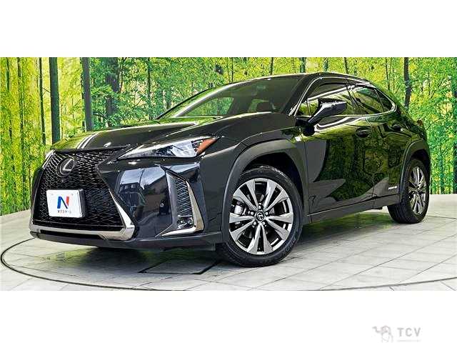 2019 Lexus Other