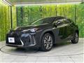 2019 Lexus Other