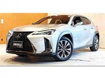 2019 Lexus Other