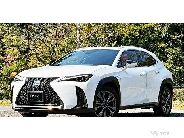 2019 Lexus Other