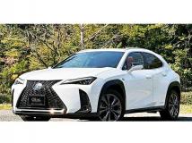 2019 Lexus Other