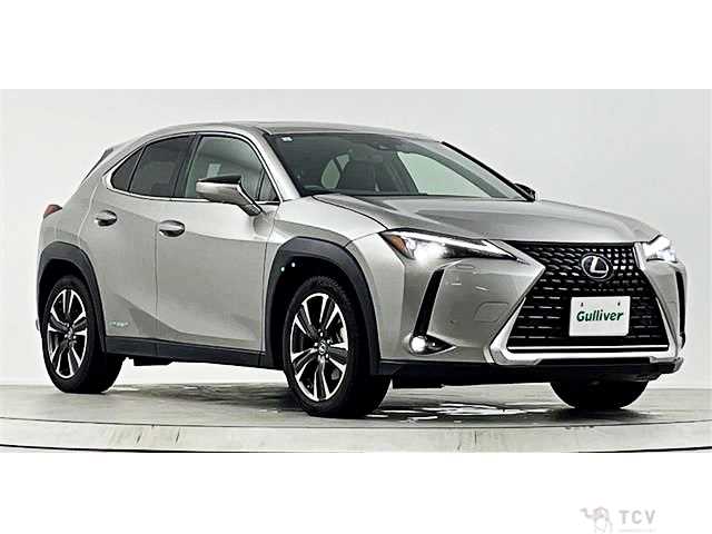 2019 Lexus Other