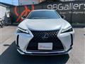 2019 Lexus Other