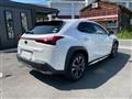 2019 Lexus Other
