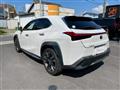 2019 Lexus Other