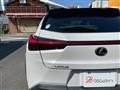 2019 Lexus Other