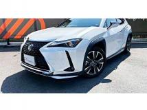 2019 Lexus Other