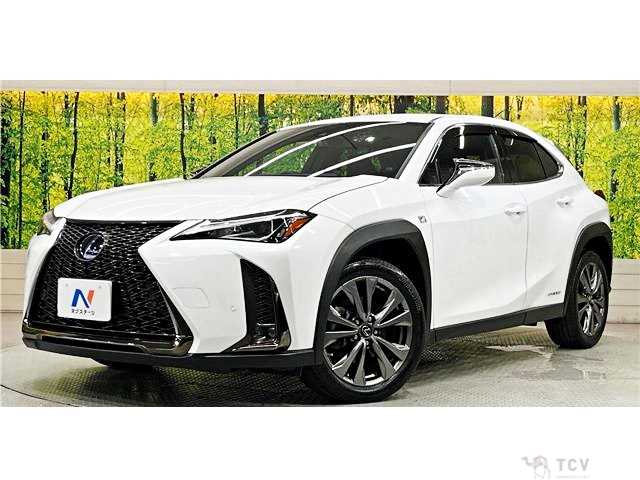 2019 Lexus Other