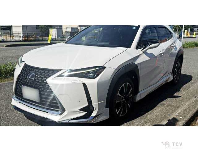 2019 Lexus Other