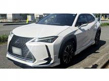 2019 Lexus Other