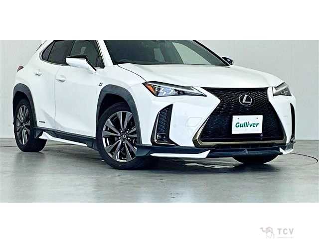 2019 Lexus Other