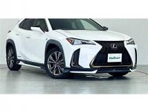 2019 Lexus Other