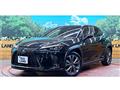 2019 Lexus Other