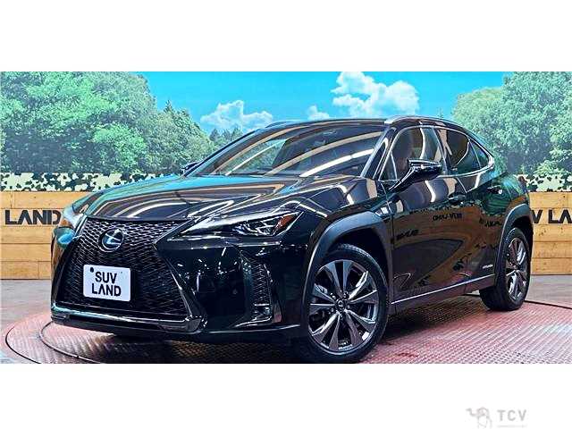 2019 Lexus Other