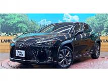 2019 Lexus Other