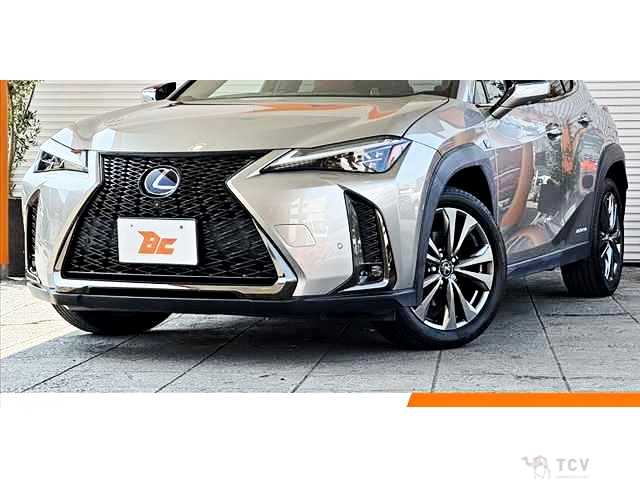 2019 Lexus Other