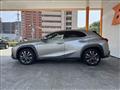 2019 Lexus Other