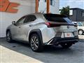 2019 Lexus Other