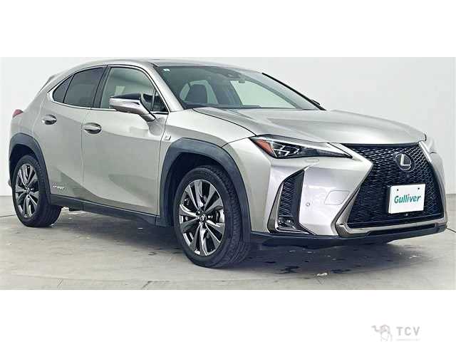 2019 Lexus Other