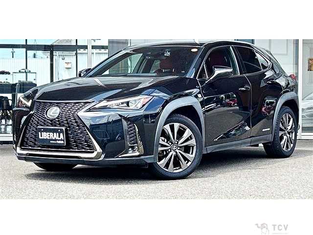 2019 Lexus Other