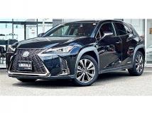 2019 Lexus Other