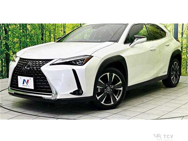 2019 Lexus Other