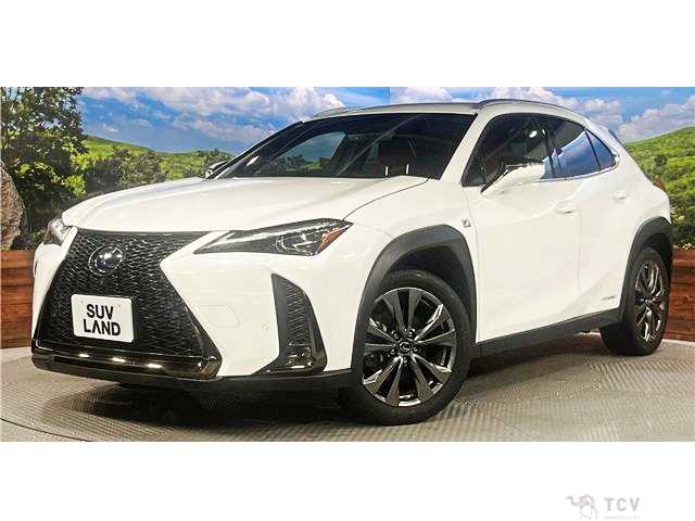 2019 Lexus Other