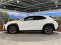 2019 Lexus Other