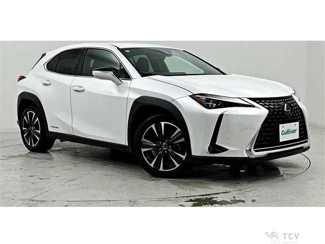 2019 Lexus Other
