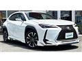 2019 Lexus Other