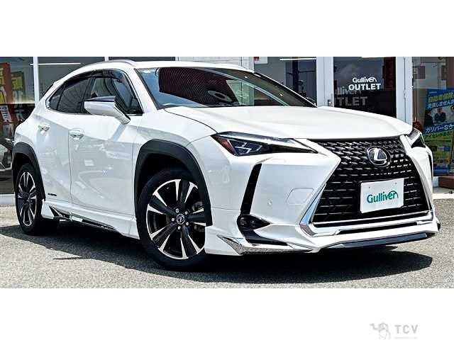 2019 Lexus Other