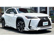 2019 Lexus Other
