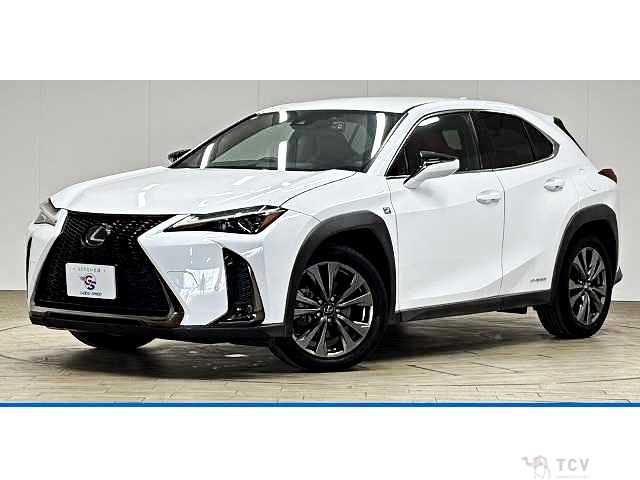 2019 Lexus Other