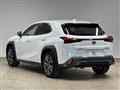 2019 Lexus Other