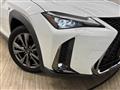 2019 Lexus Other