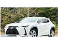 2019 Lexus Other