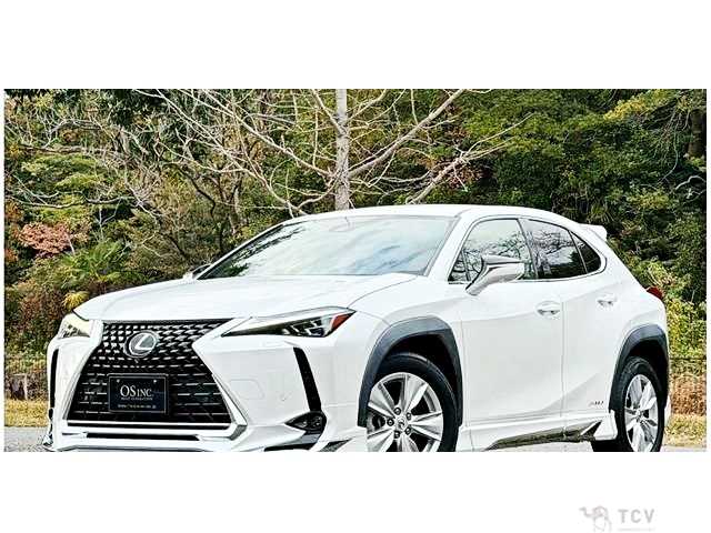 2019 Lexus Other