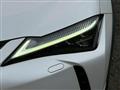 2019 Lexus Other