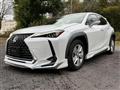 2019 Lexus Other