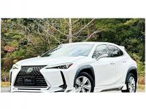 2019 Lexus Other