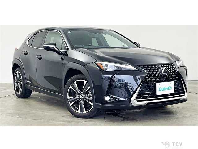 2019 Lexus Other