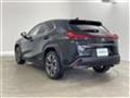 2019 Lexus Other